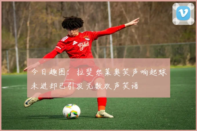 今日趣图：拉斐尔莱奥笑声响起球未进却已引发无数欢声笑语